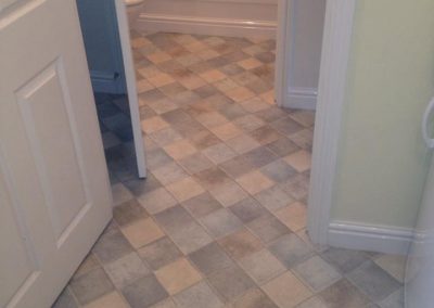 Vinyl Hall & Bathroom Shot